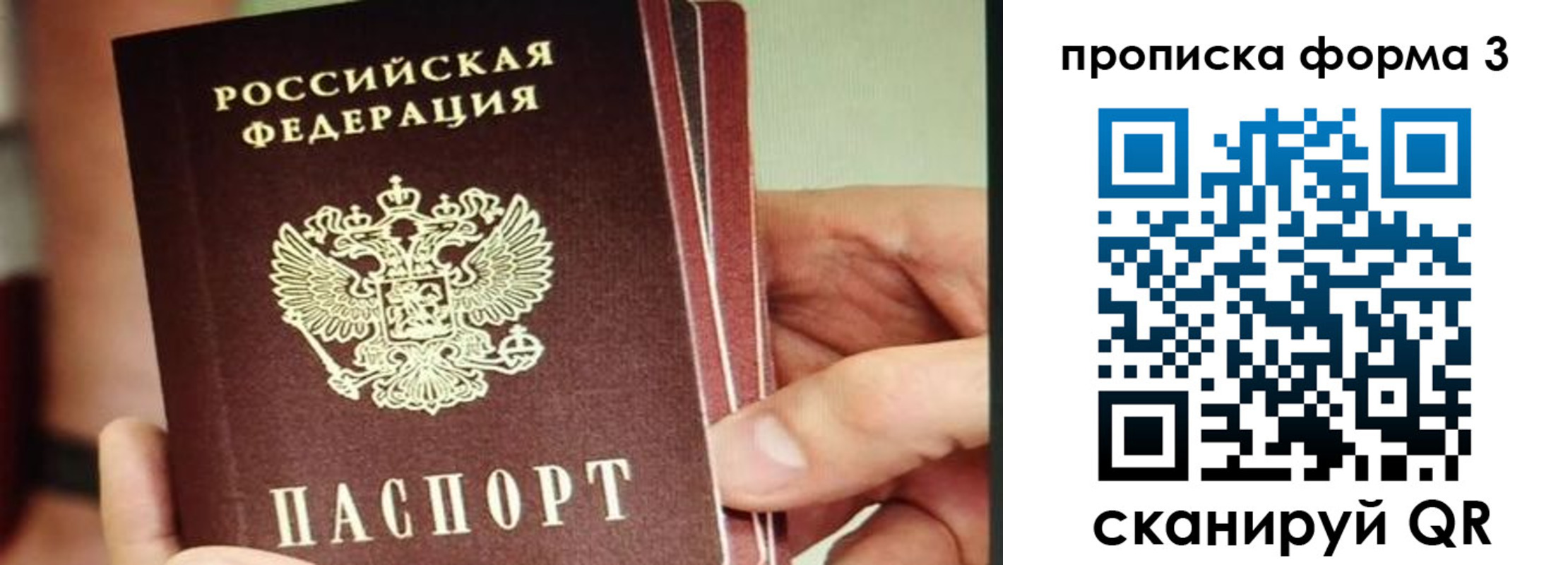 прописка законно в Осташкове